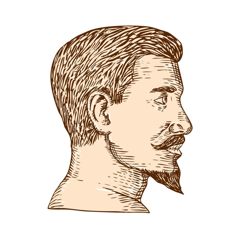 Male Goatee Side View Etching vector