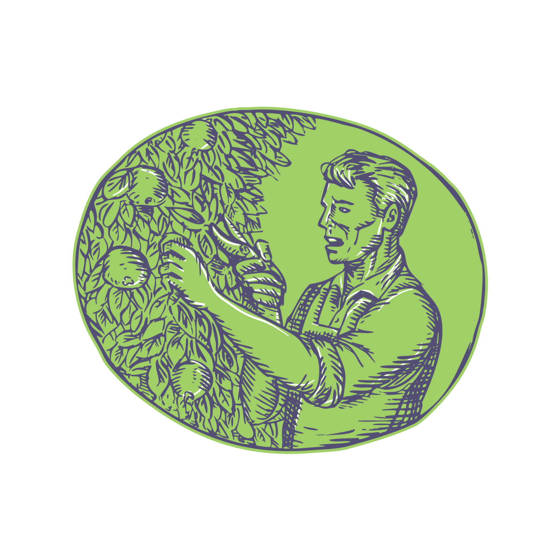 Orchardist Trimming Plum Tree Oval Etching 12391499 Vector Art at Vecteezy