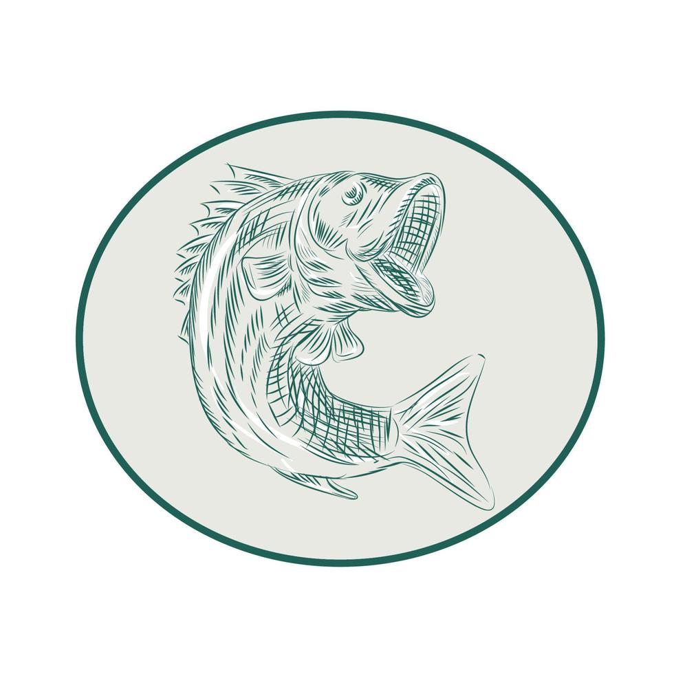 Largemouth Bass Fish Oval Etching vector