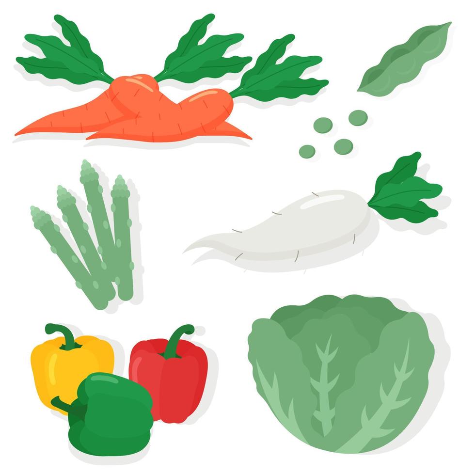 conjunto de verduras alimentos frescos y saludables. vector