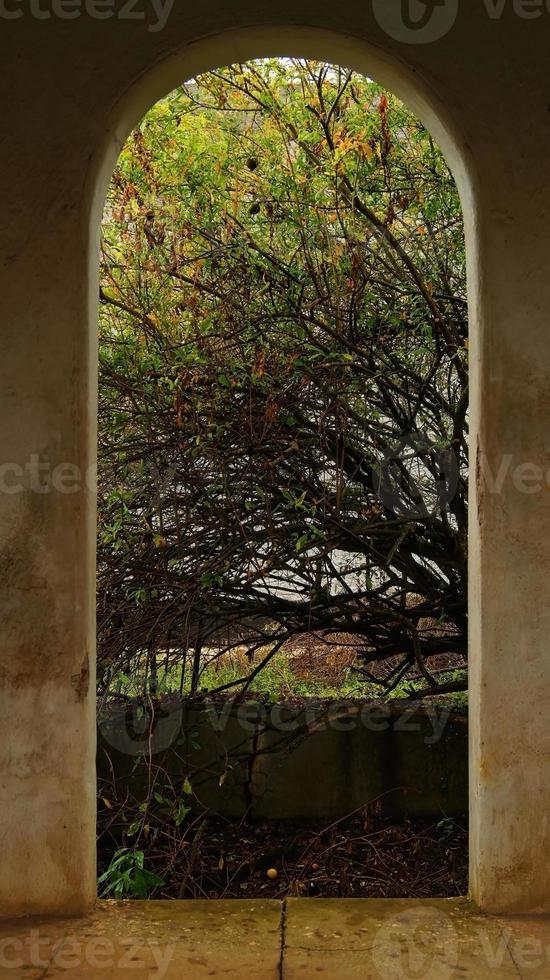 colonial architecture, arches surrounded by vegetation, play of light and shadows inside the space, natural materials photo