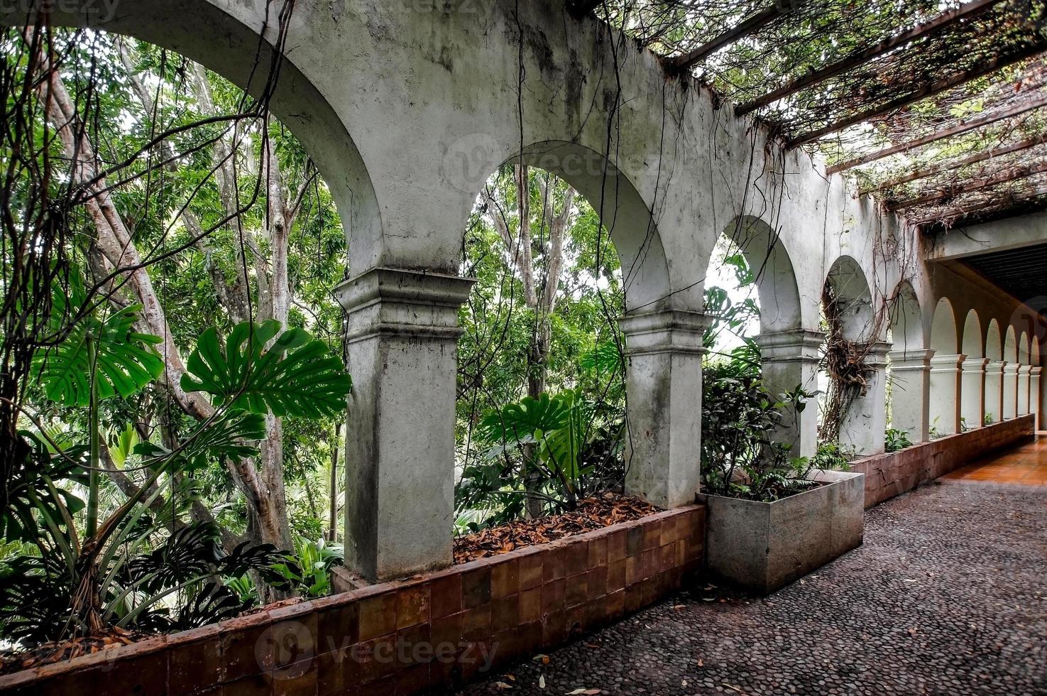 colonial architecture, arches surrounded by vegetation, play of light and shadows inside the space, natural materials photo