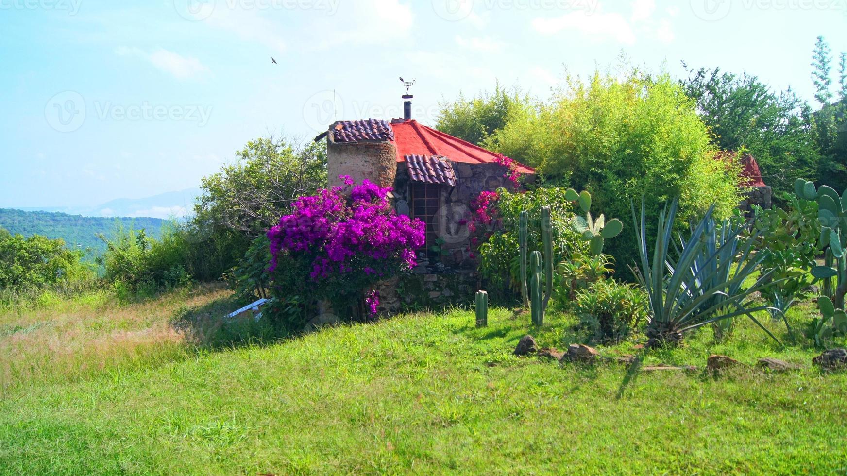 casita en medio del campo, casa de piedra, con techo de tejas, alrededor de cactus, flores y vegetación, foto