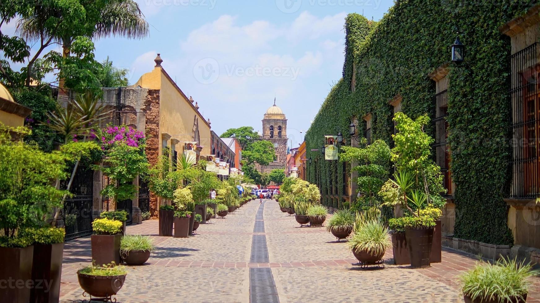 stone path with flower pots on the sides, colonial mansions with vines all along the wall, in the background a church photo
