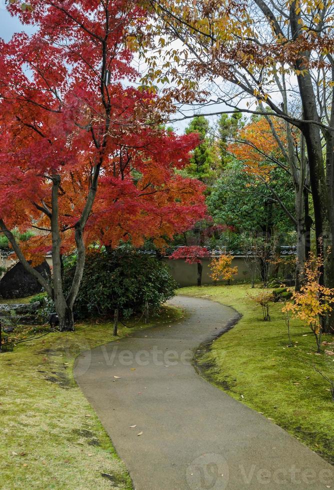 Japanese garden during autumn season photo
