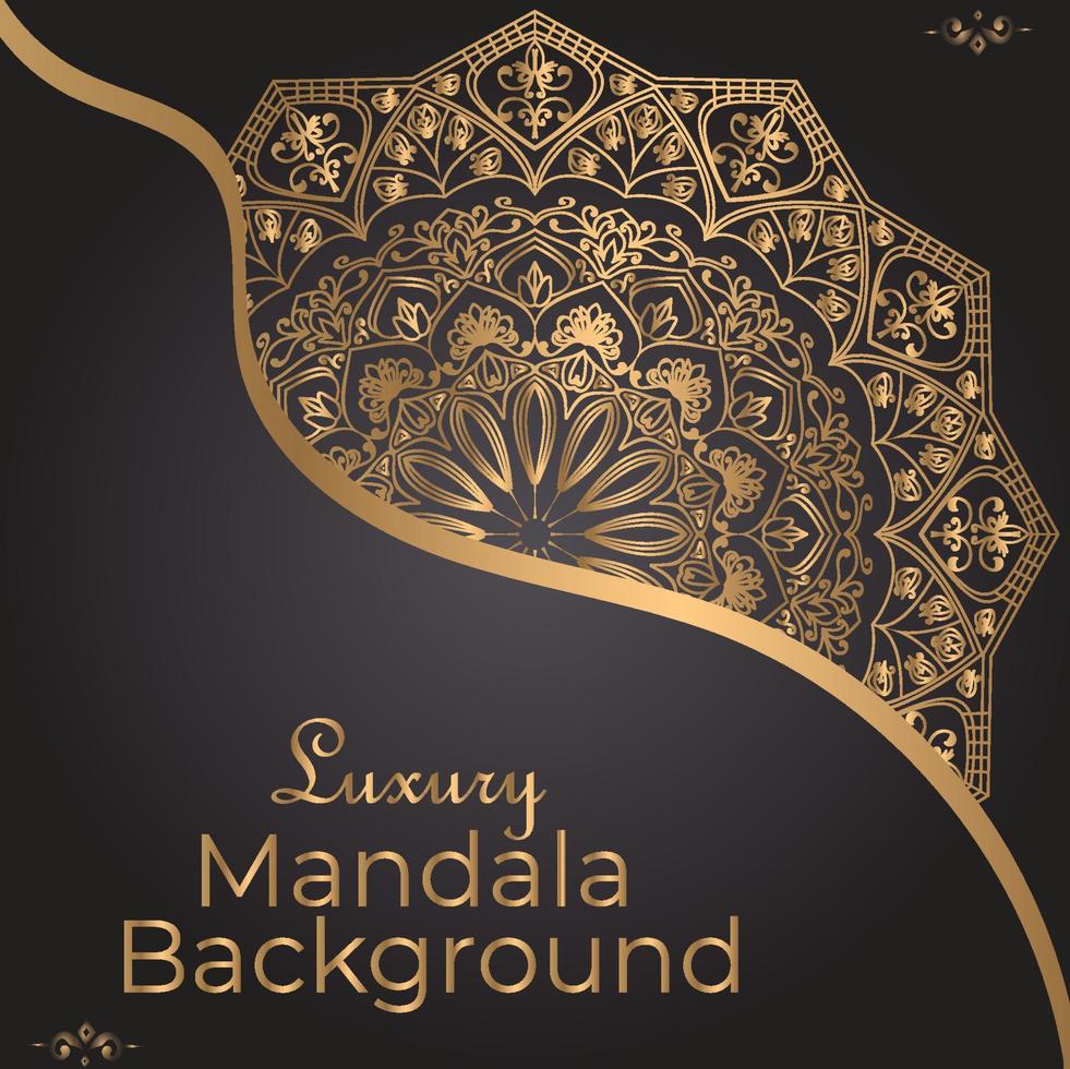 Mandala design 18 vector