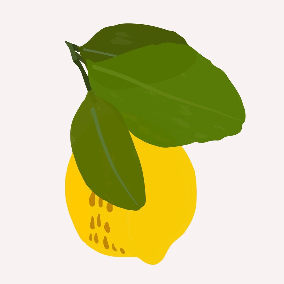 ilustraciones planas de gouache de limones. hojas verdes y limones aislados en un fondo claro para envolver papel, papel tapiz vector