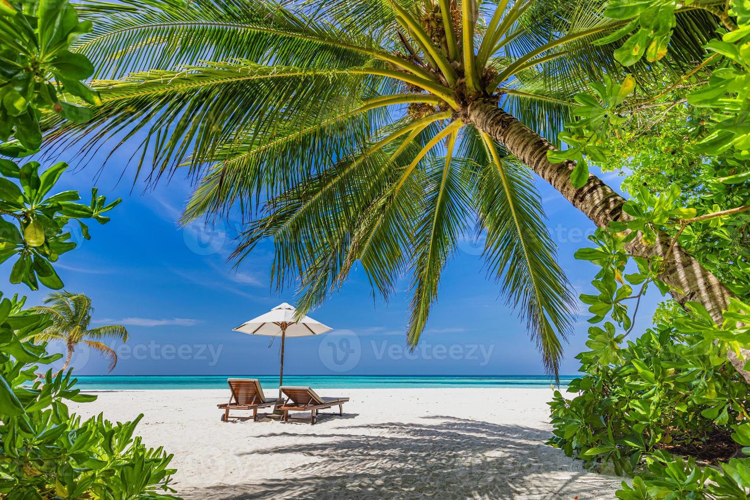 Beautiful tropical island landscape, freedom sun chairs, loungers umbrella under palm tree leaves. White sand, sea shore horizon. Beach vacation, summer resort, couples destination, tranquil nature photo