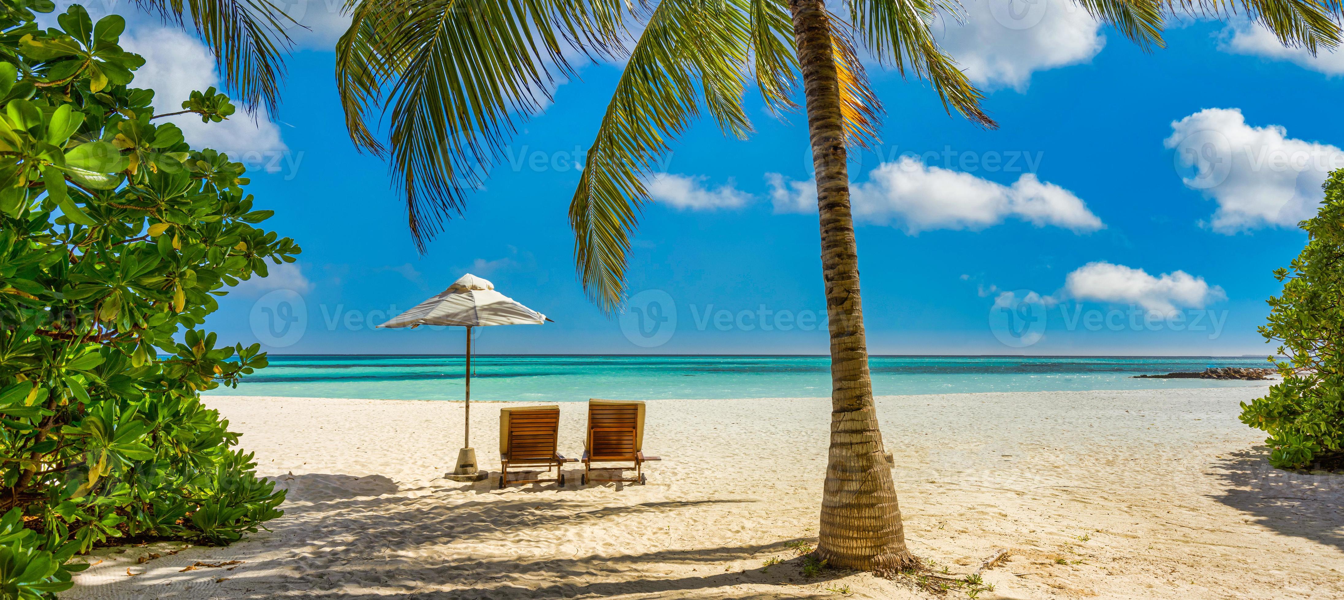  Tropical Paradise Poster Amazing Beach and Palm Tree