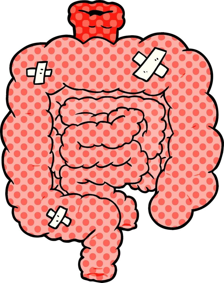 cartoon repaired intestines vector