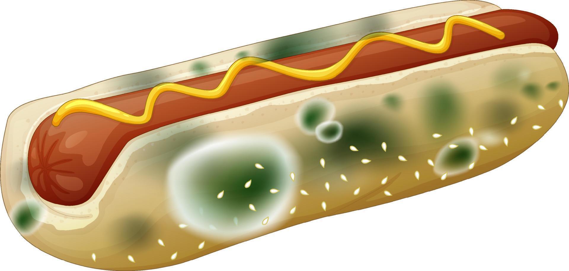 Inedible bread with mould vector