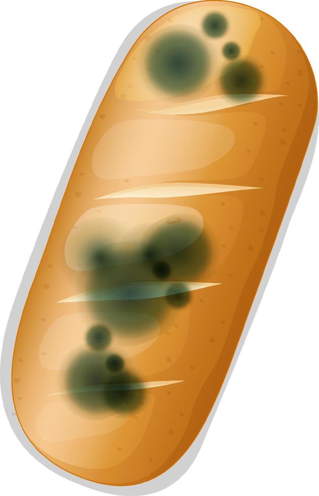 Inedible bread with mould vector