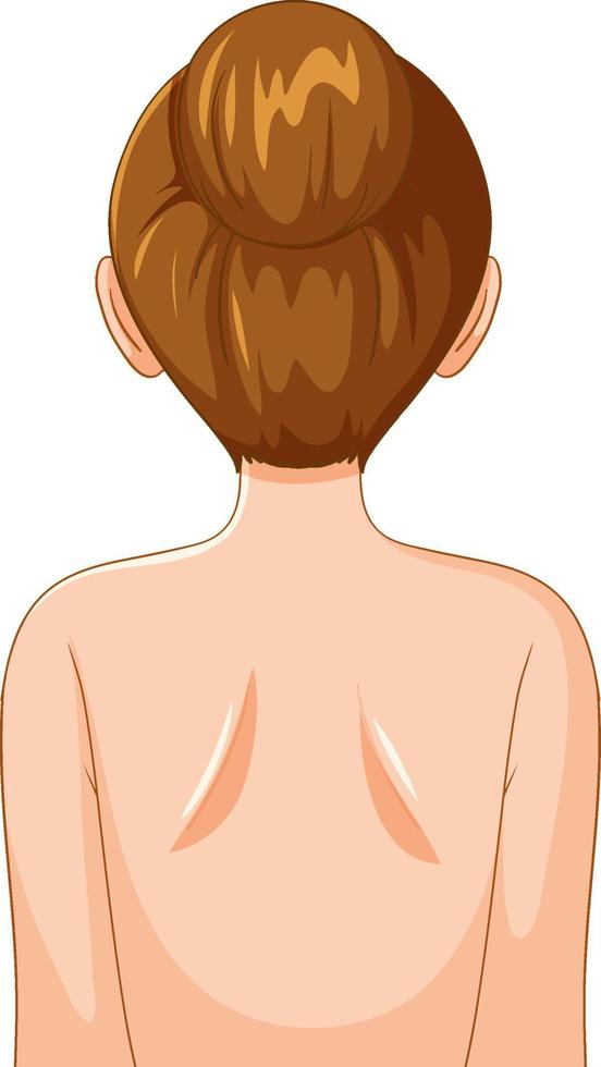 Back of woman with bun hair vector