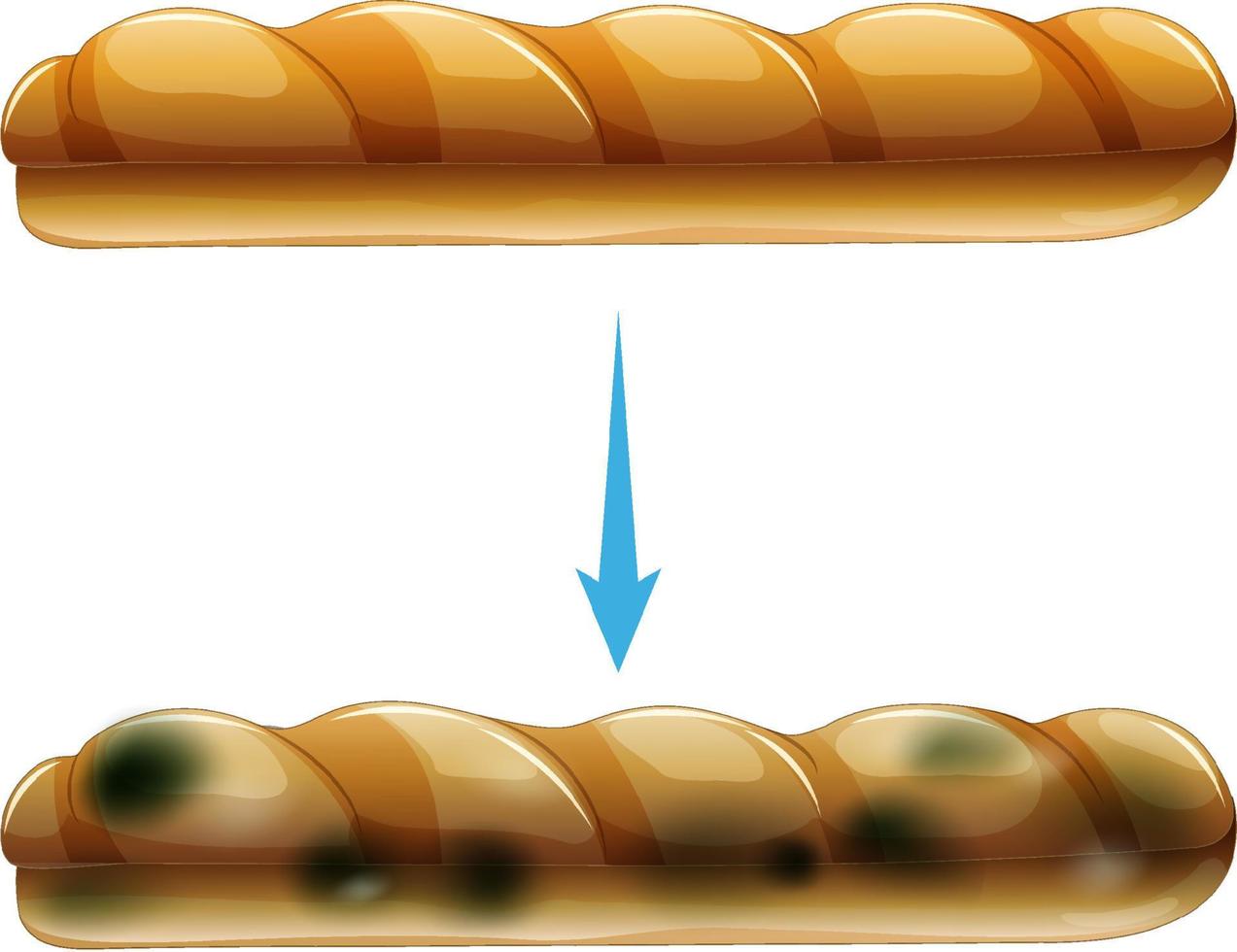 Inedible bread with mould vector