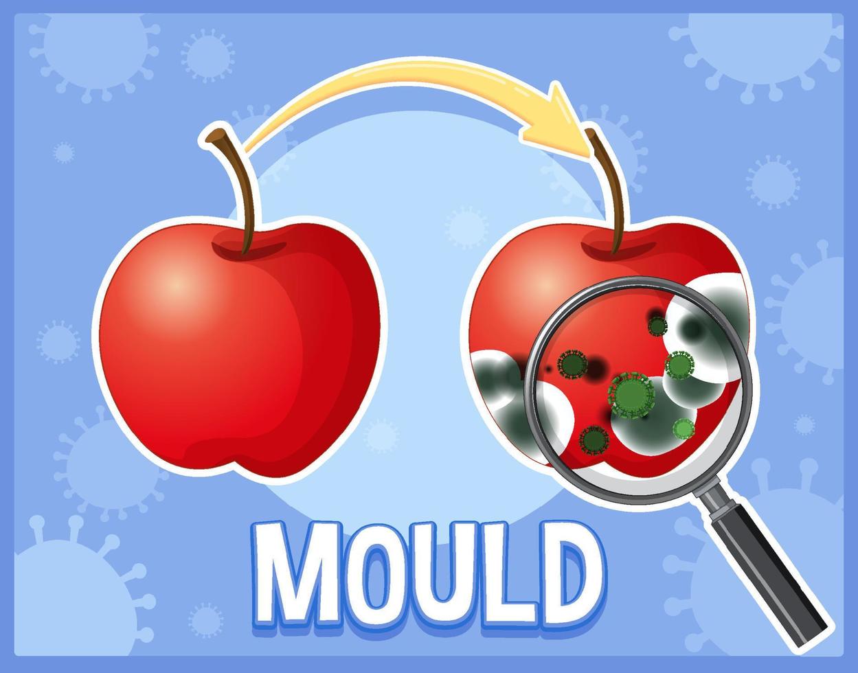 Inedible decomposed apple with mould vector