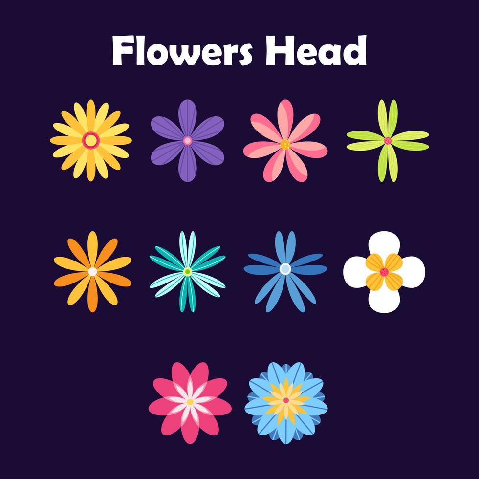 Set of colorful bloosom flowers head vector