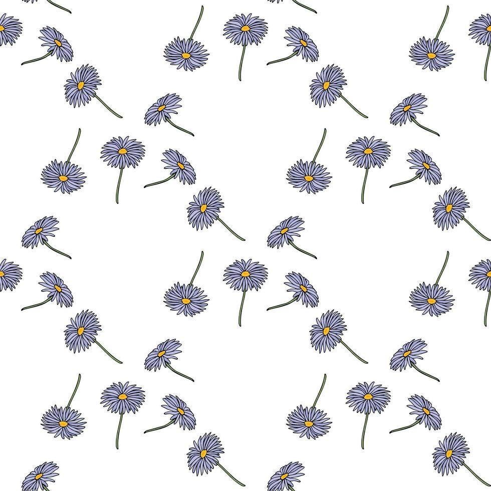 Seamless pattern with creative aster dumosus Blaubox on white background. Vector image.