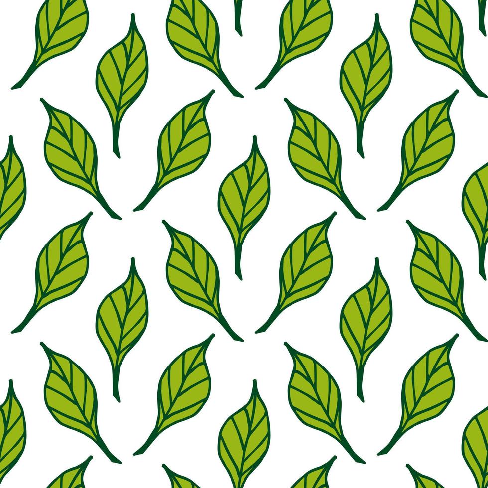 Seamless pattern with awesome green leaves on white background. Vector image.