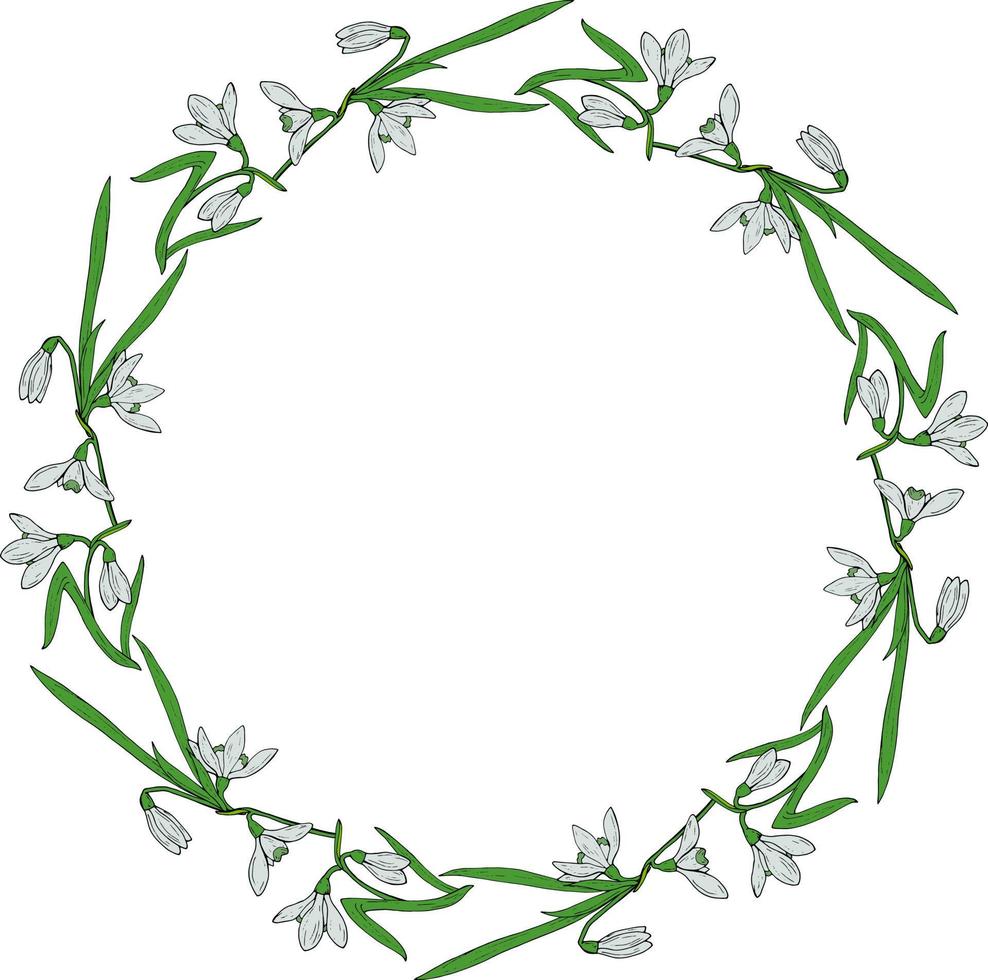 Wreath with snowdrops and leaves on white background. Vector image.