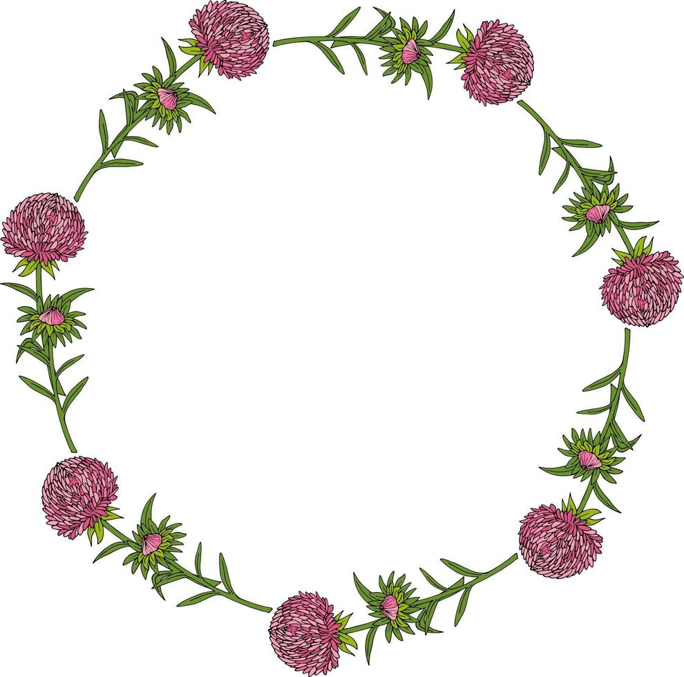 Round frame with great pink aster flowers on white background. Vector image.