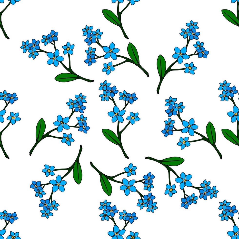 Seamless pattern with forget-me-not flowers on white background. Vector image.