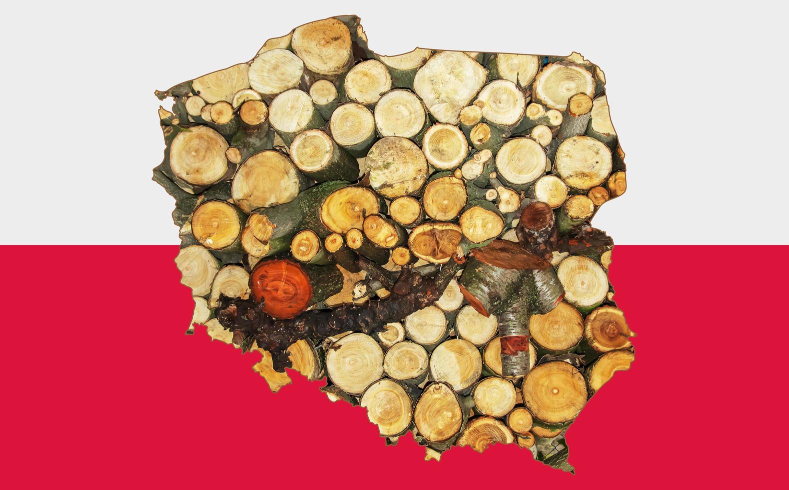 Outline map of Poland with the image of the national flag. Firewood inside the map. Collage. Energy crisis. photo