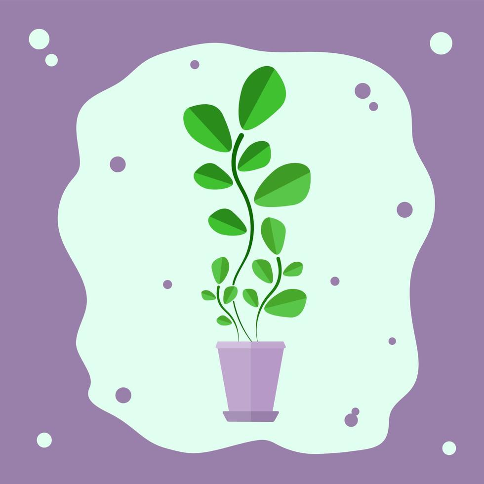 Green flower in a pot vector