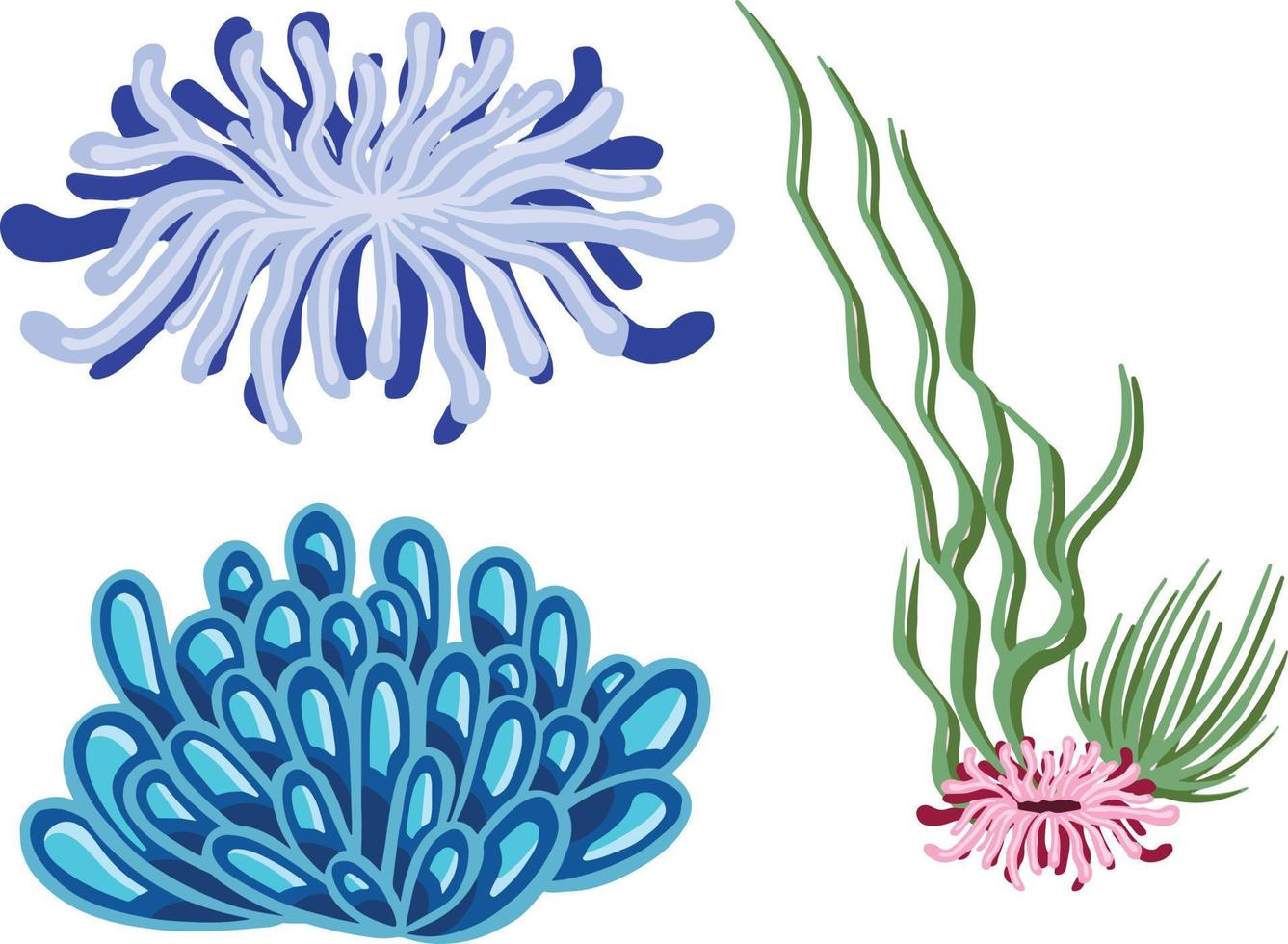 Set of marine vector plants, hand drawn algae