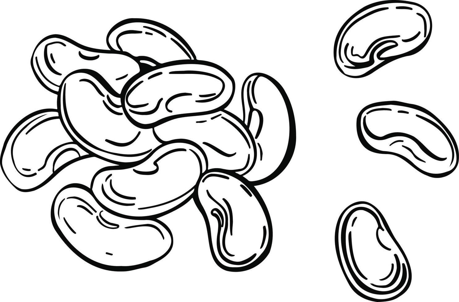 Beans set. Collection icon beans. Vector