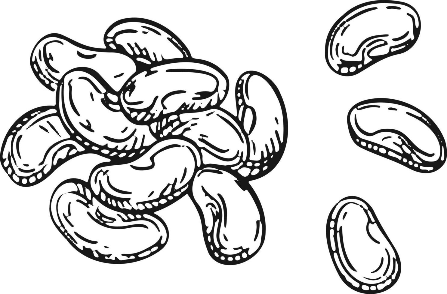 ilustración vectorial racimo de uvas de vino con hoja - símbolo, icono, elemento de diseño de paquete, patrón ornamental abstracto sobre fondo blanco. ilustración vectorial vector