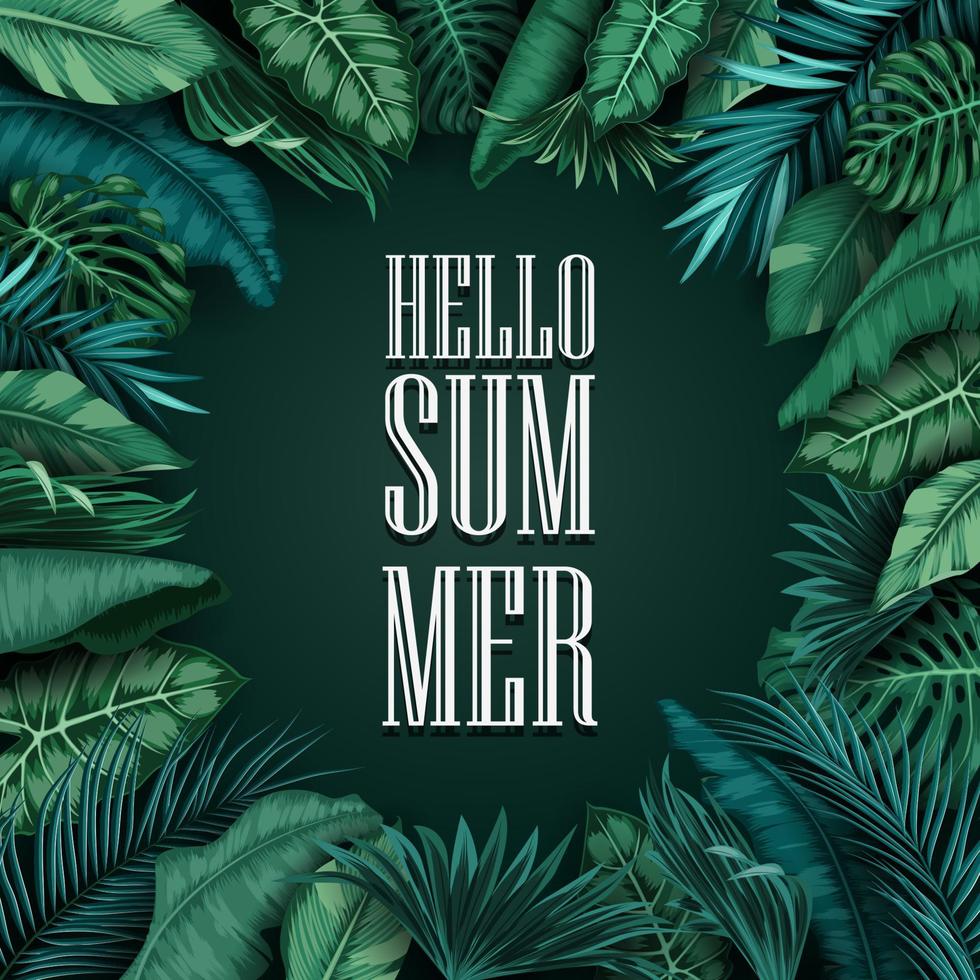 Hello Summer background with Tropical plants and birds collection set vector