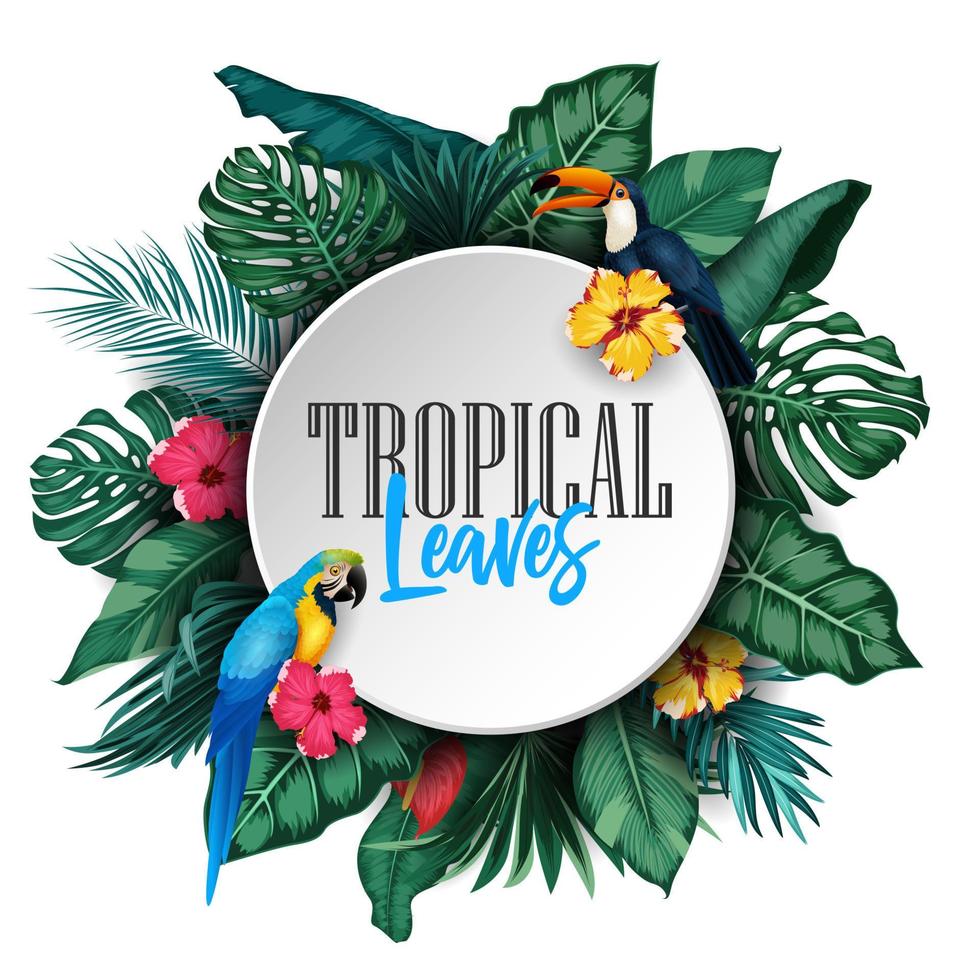 conjunto de colección de plantas y pájaros tropicales vector