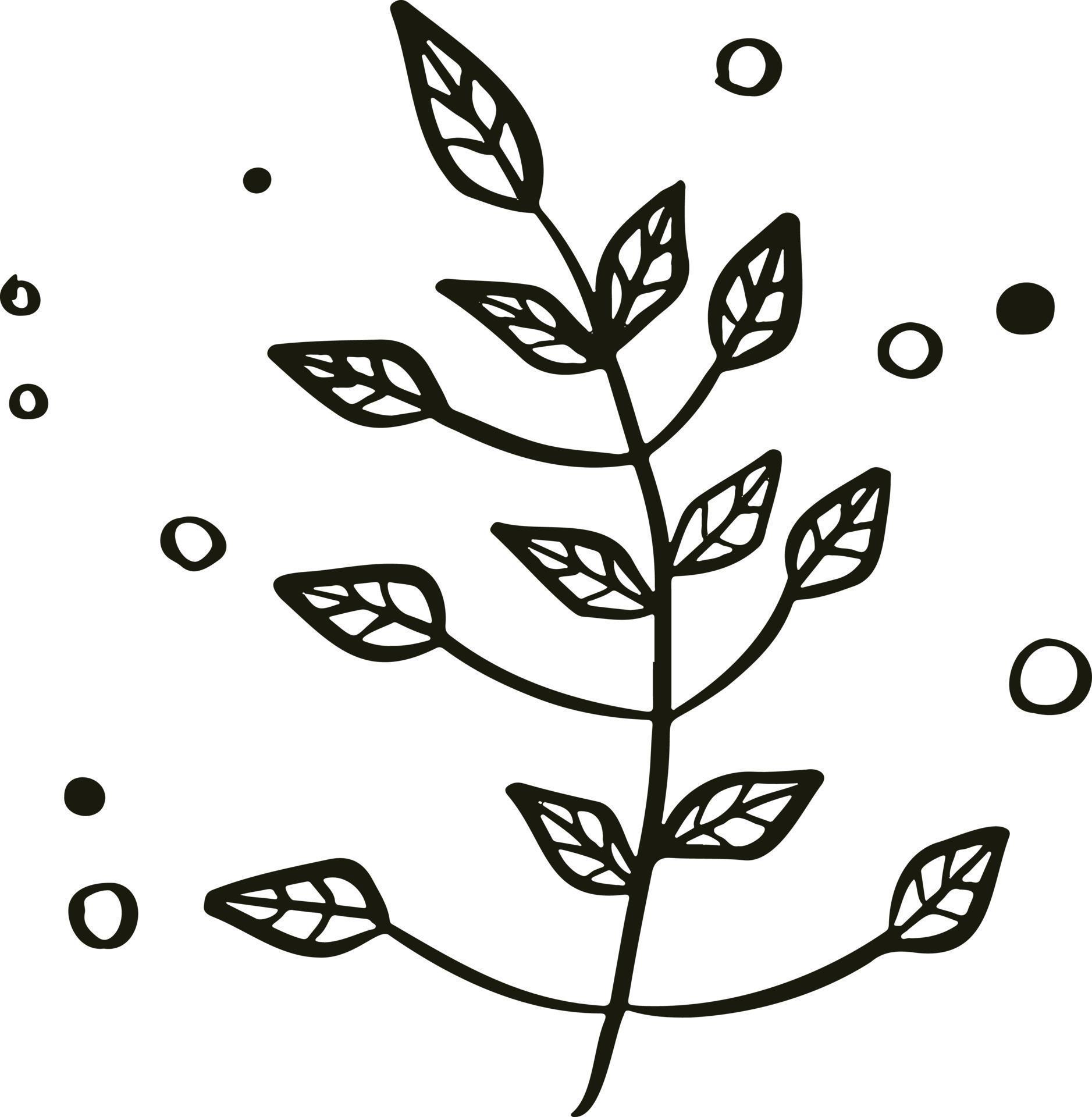 Line sketch bundle silhouette vector 12406782 Vector Art at Vecteezy