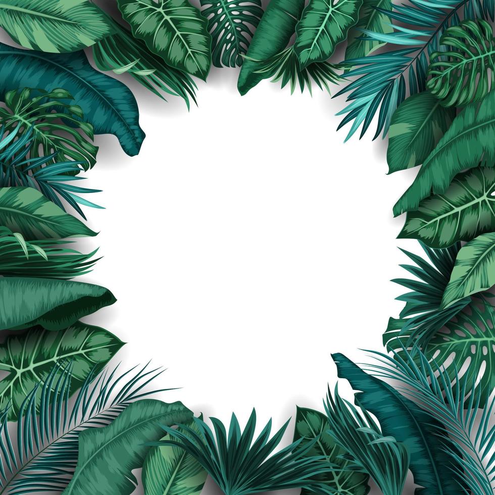 Tropical leaves isolated on white background vector