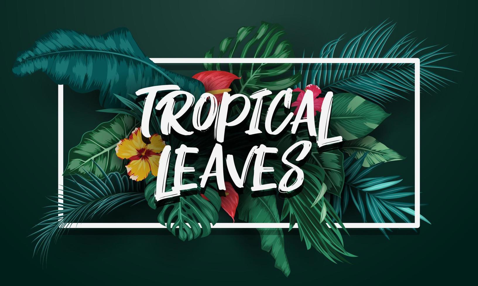 Tropical plants and birds collection set vector