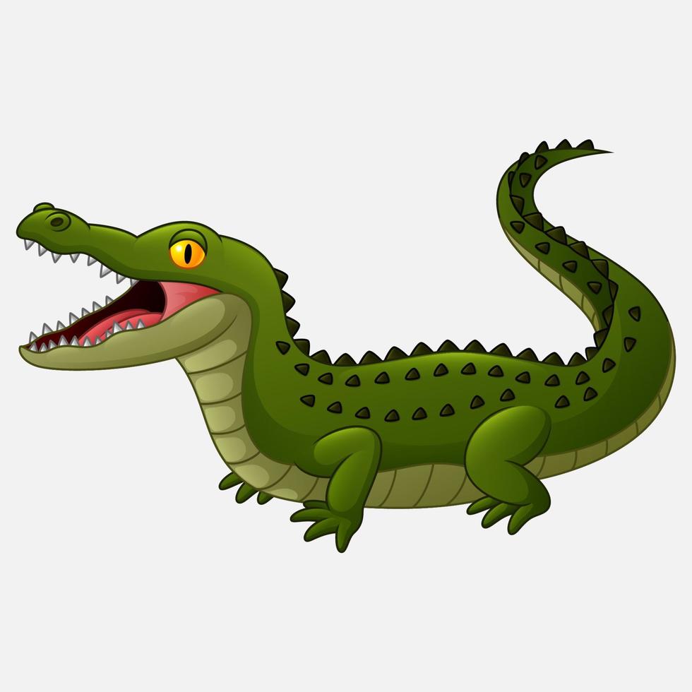 Crocodile open mouth vector