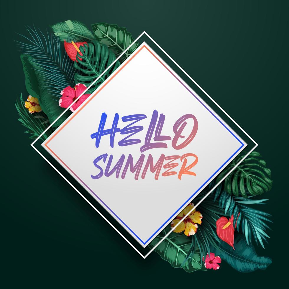 Hello Summer background with Tropical plants and birds collection set vector