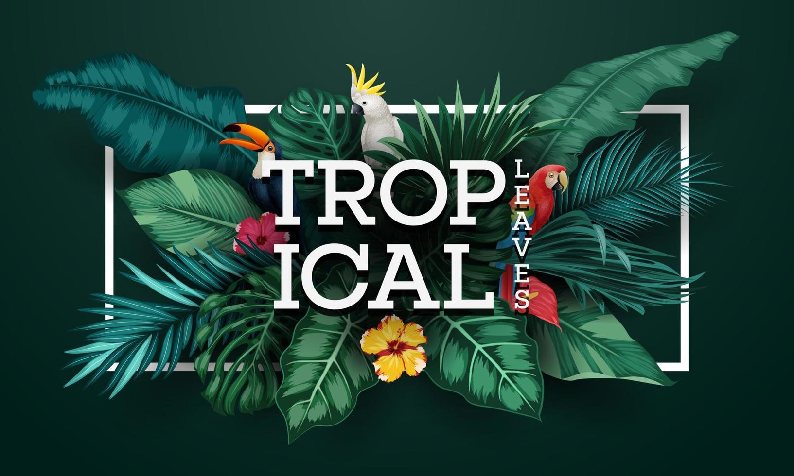 conjunto de colección de plantas y pájaros tropicales vector