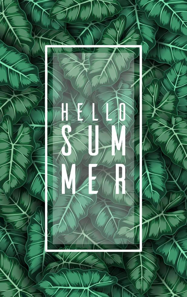 Hello Summer background with Tropical plants and birds collection set vector