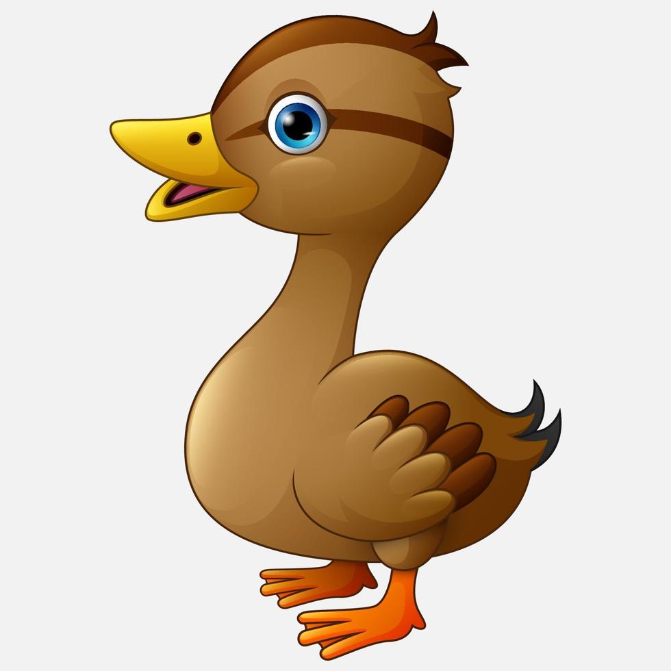 Cute duck cartoon vector