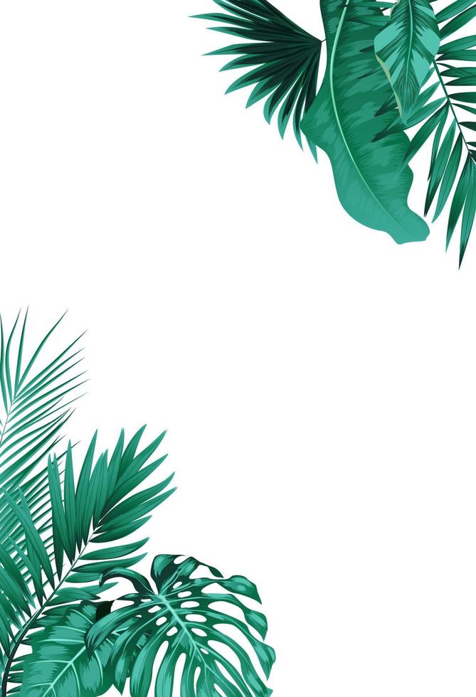 Tropical leaf shape frame on white background vector