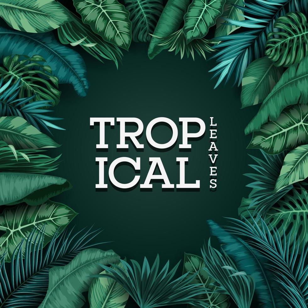 Tropical plants and birds collection set vector