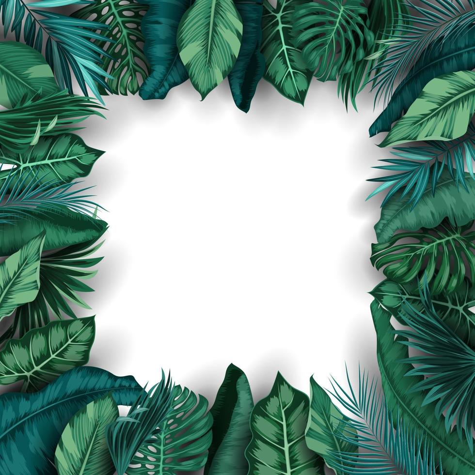 Tropical leaves isolated on white background vector