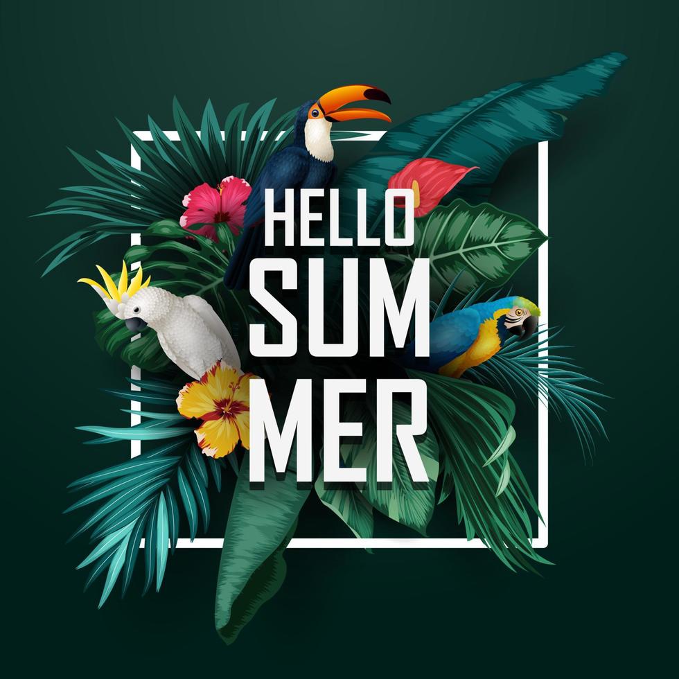 hola fondo de verano con colección de pájaros y plantas tropicales vector