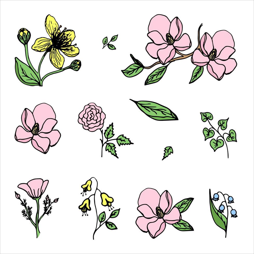 Set of flowers, delicate beautiful flowers, isolated flowers and leaves vector