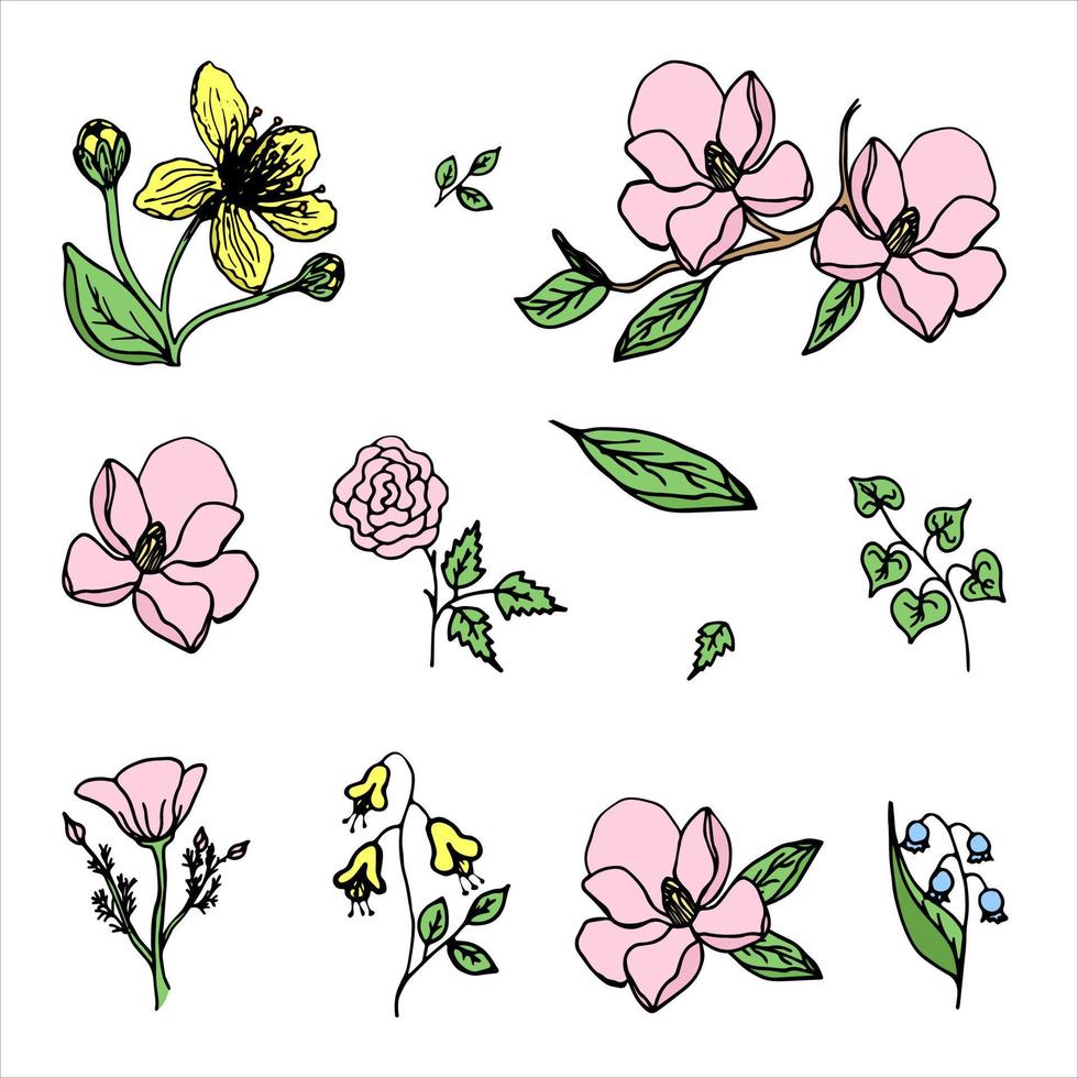 conjunto de flores, delicadas flores hermosas, flores y hojas aisladas vector