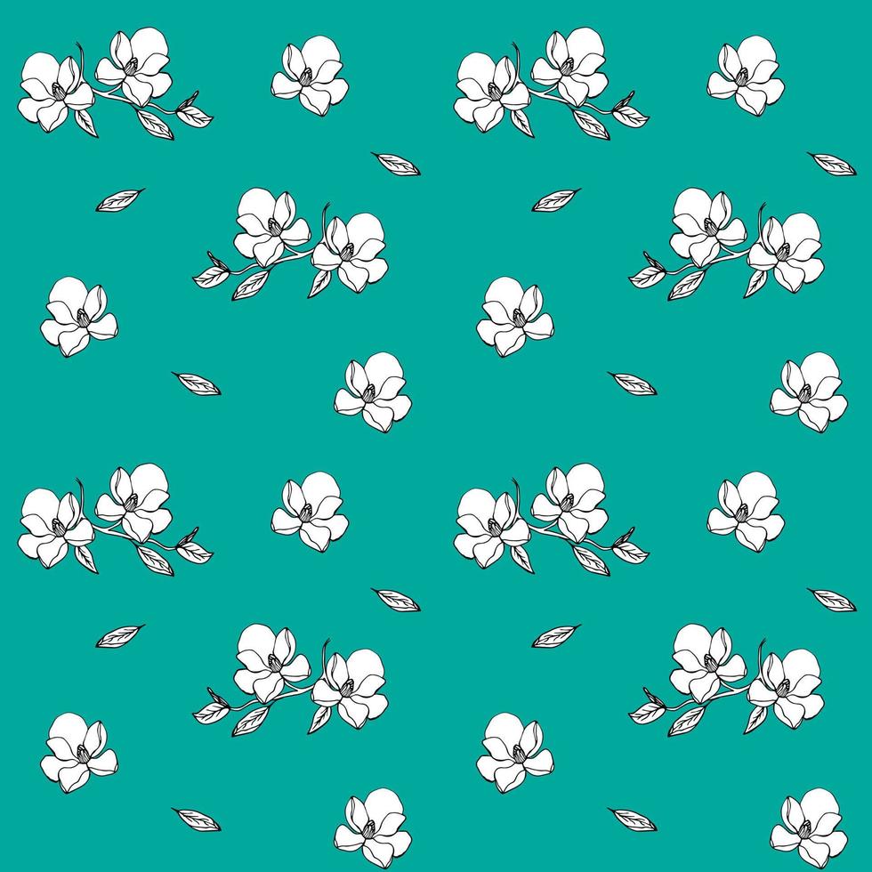 patrón de flores blancas sobre un fondo turquesa 12407606 Vector en Vecteezy patrón de flores blancas sobre un fondo turquesa 12407606 Vector en Vecteezy