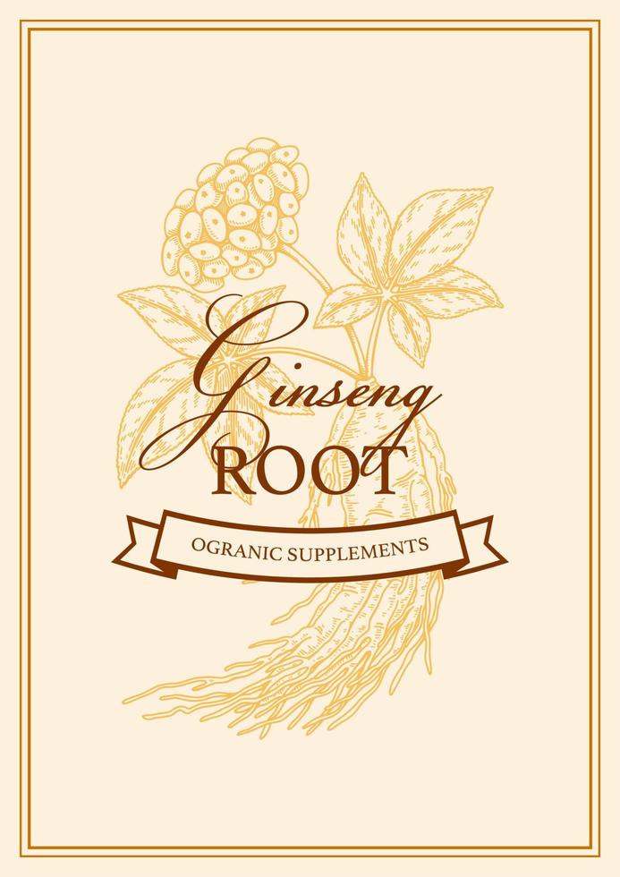 Hand drawn ginseng packaging design. Botanical vector illustration in sketch style