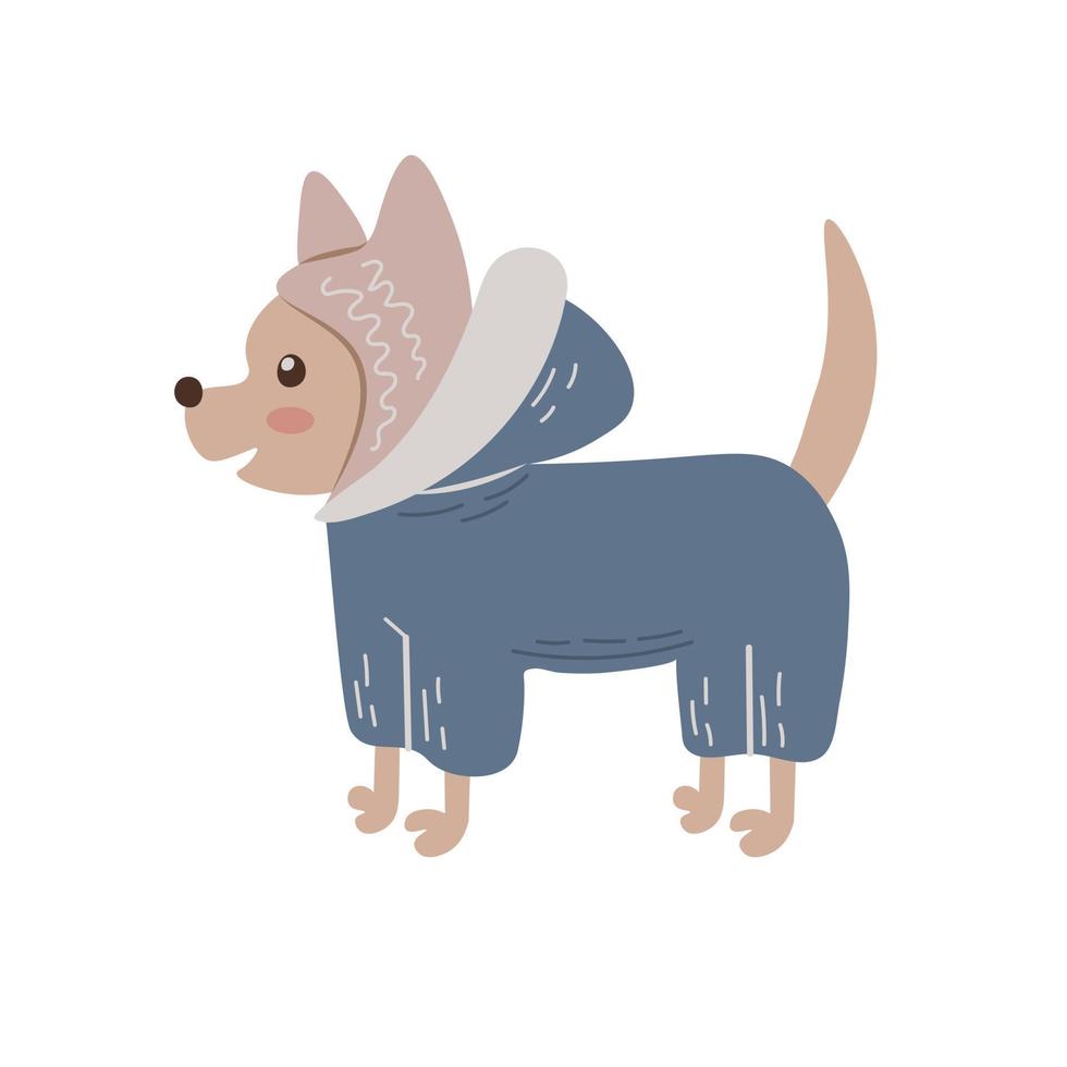 Cute dog in winter clothes vector