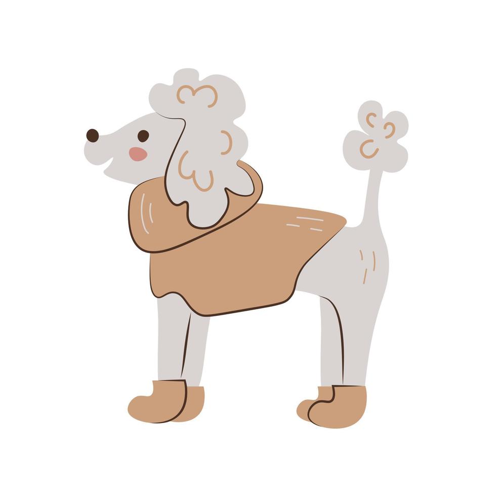 Cute poodle in warm clothes vector